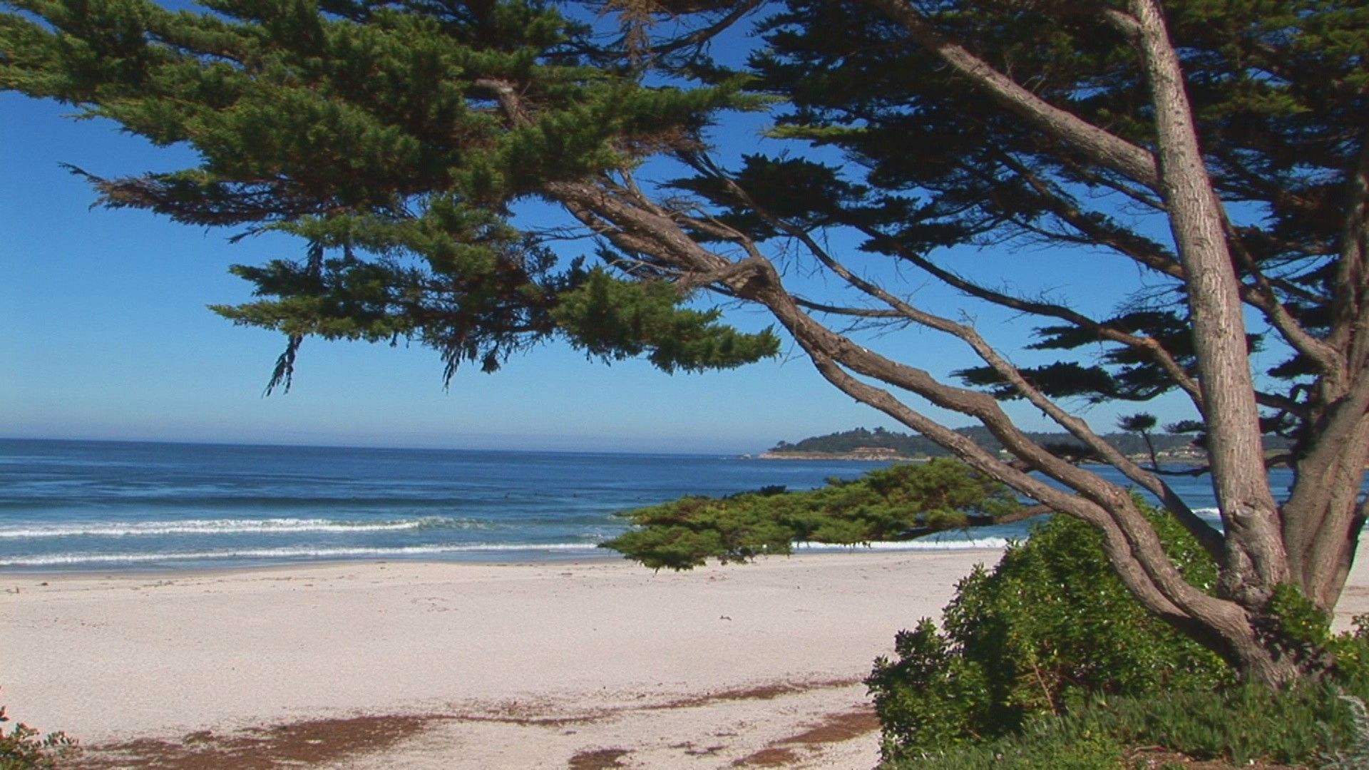 Carmel By The Sea Wallpaper