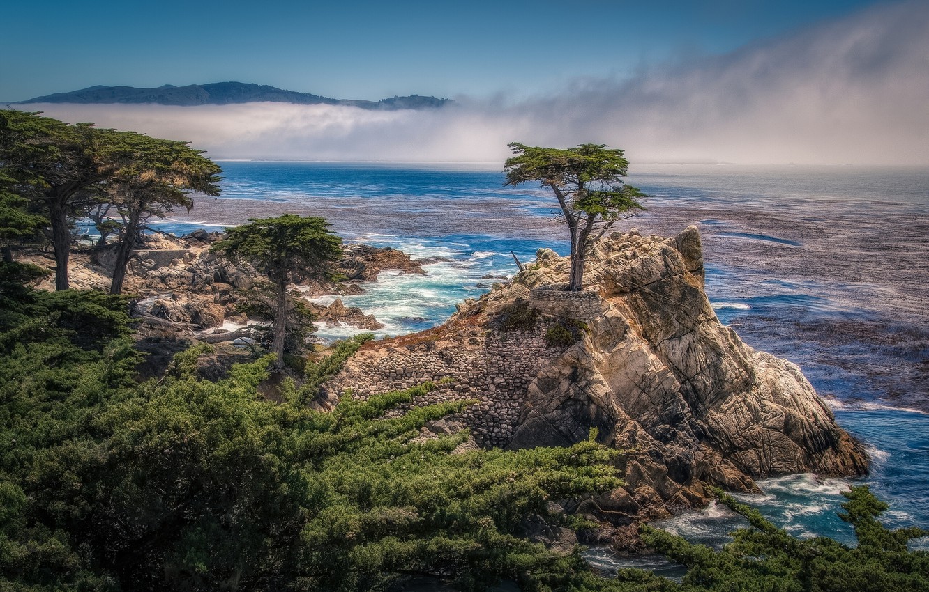 Wallpaper Trees, Rock, Coast, CA, Bay, California, Cypress, Pebble Beach, The Lone Cypress, The Lone Cypress, 17 Mile Drive, Pebble Beach, Carmel Bay Image For Desktop, Section пейзажи