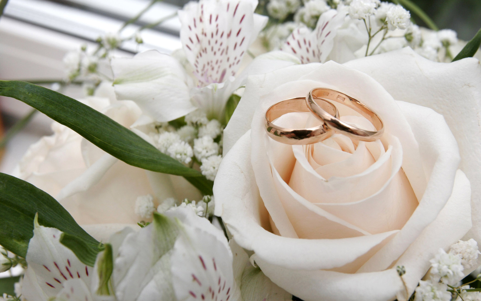 Free download Golden Rings Wedding Wallpaper Full HD Wallpaper with 1600x1200 [1920x1200] for your Desktop, Mobile & Tablet. Explore Wedding Wallpaper for Desktop. Wedding Wallpaper Image, Wedding Background Wallpaper