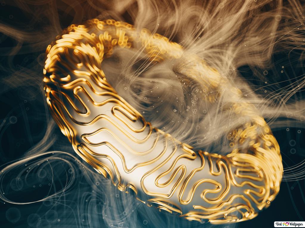 Golden Ring Wallpapers - Wallpaper Cave