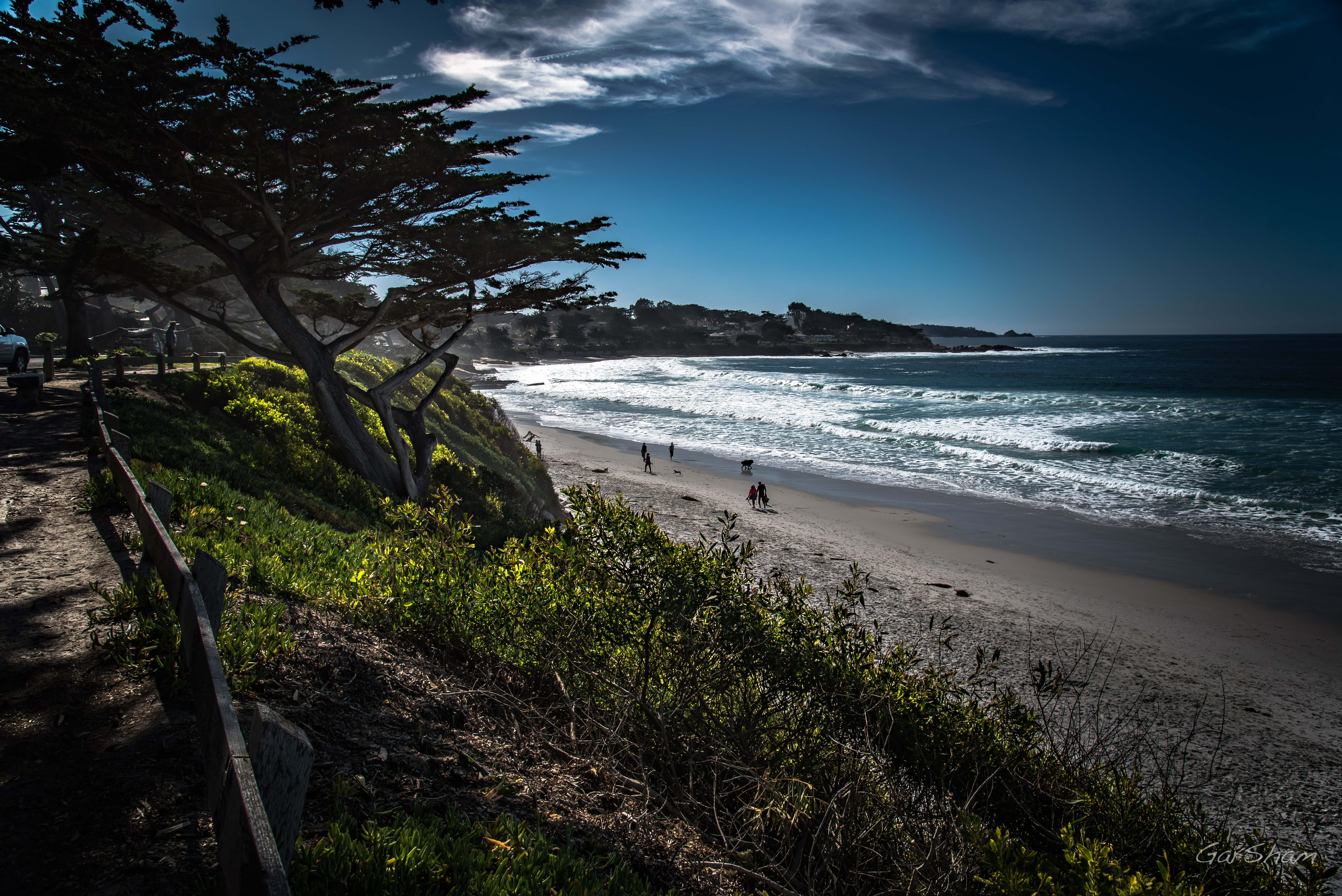 Wallpaper, California, carmel, sand, landscape, nature, water, Surf, color, trees, ocean, pacific, light 5950x3972