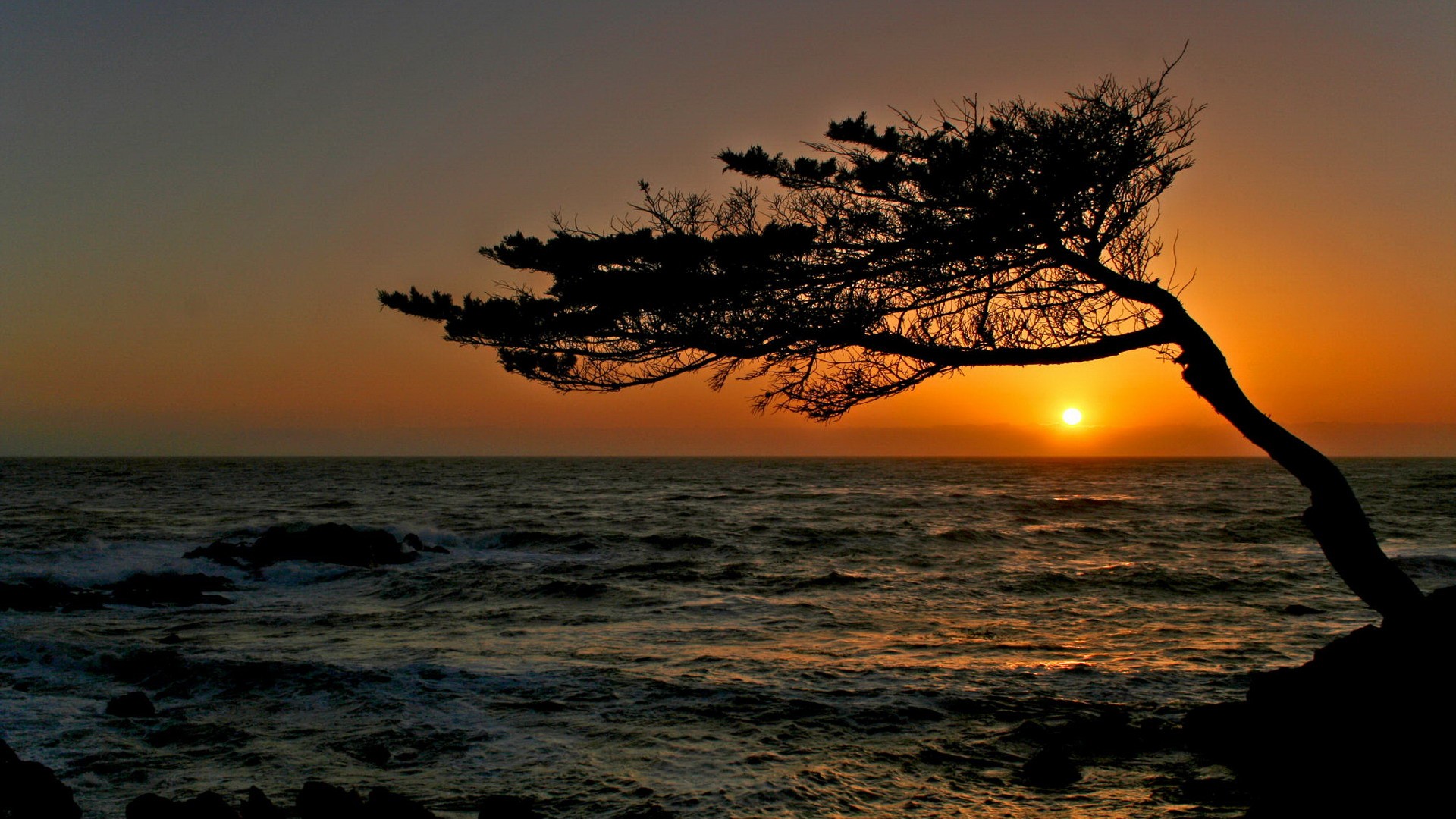 California Sunset Wallpaper