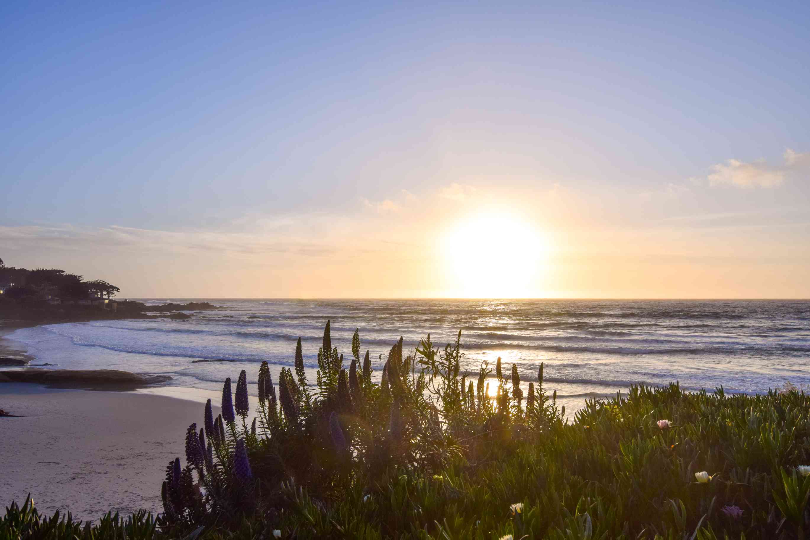 Carmel by the Sea California in Picture