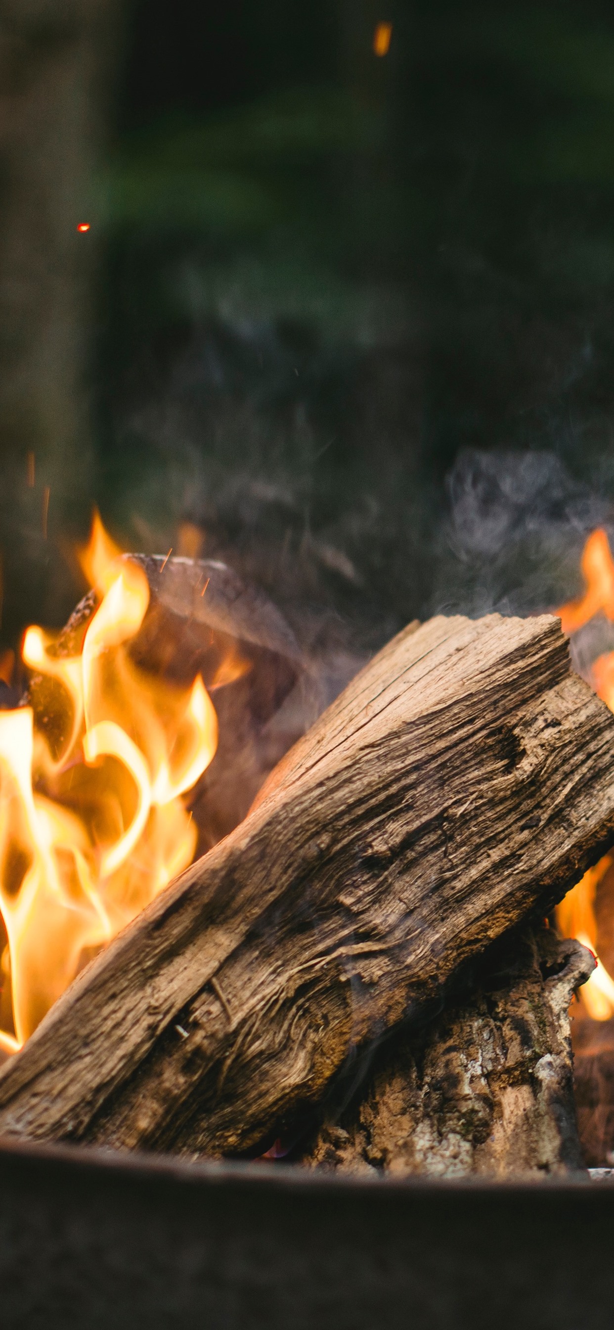 iPhone Wallpaper Firewood, Fire, Flame, Bonfire Wallpaper Real Image Of Bonfire