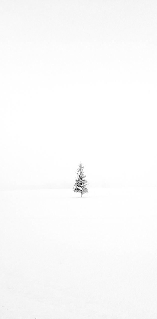 Minimalist Winter wallpaper