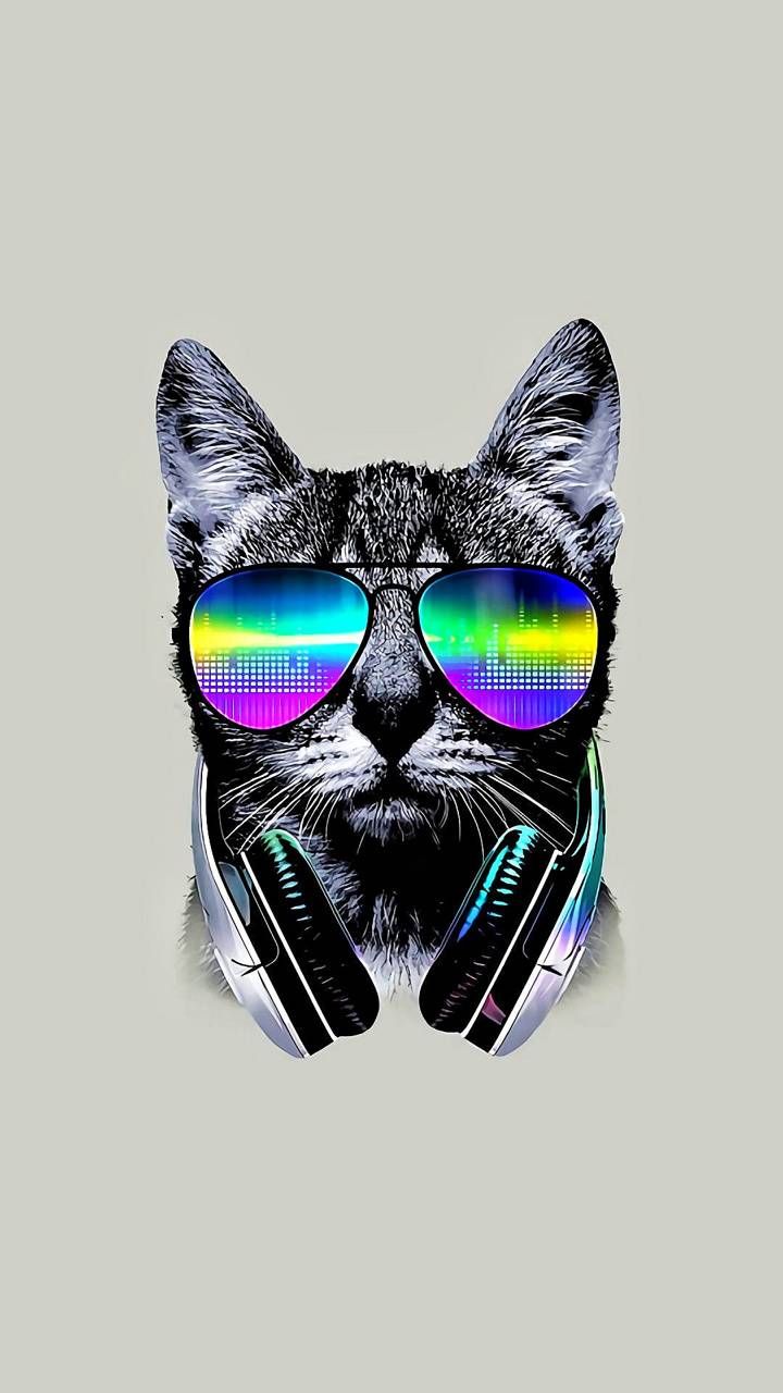 Download Cool Cat wallpaper by MacAC12897 now. Browse millions of popular cat Wa. Cat wallpaper, Animal print background, Graffiti wallpaper
