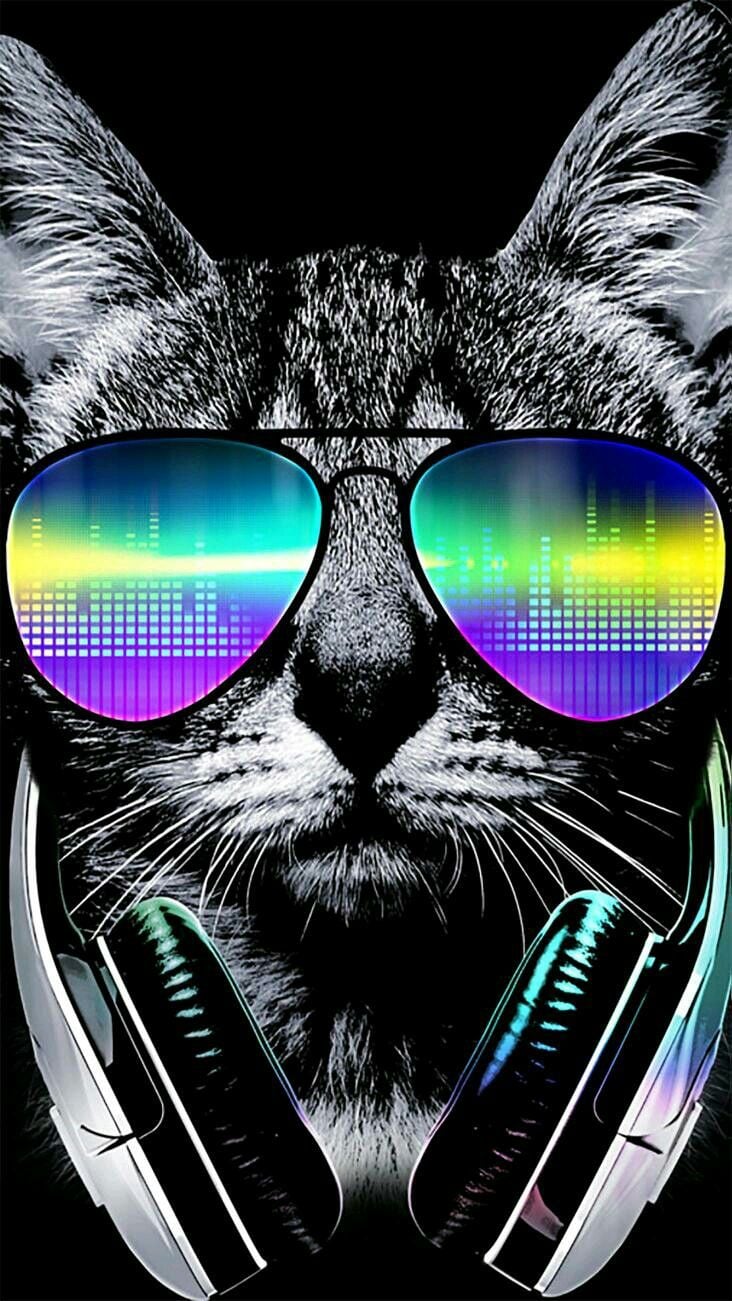 Cool cat wallpaper. Cool wallpaper for phones, Cat background, Cool background