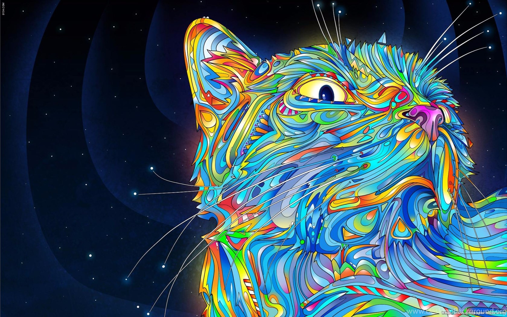 Cool Cat Abstract 4K Wallpaper Desktop Background