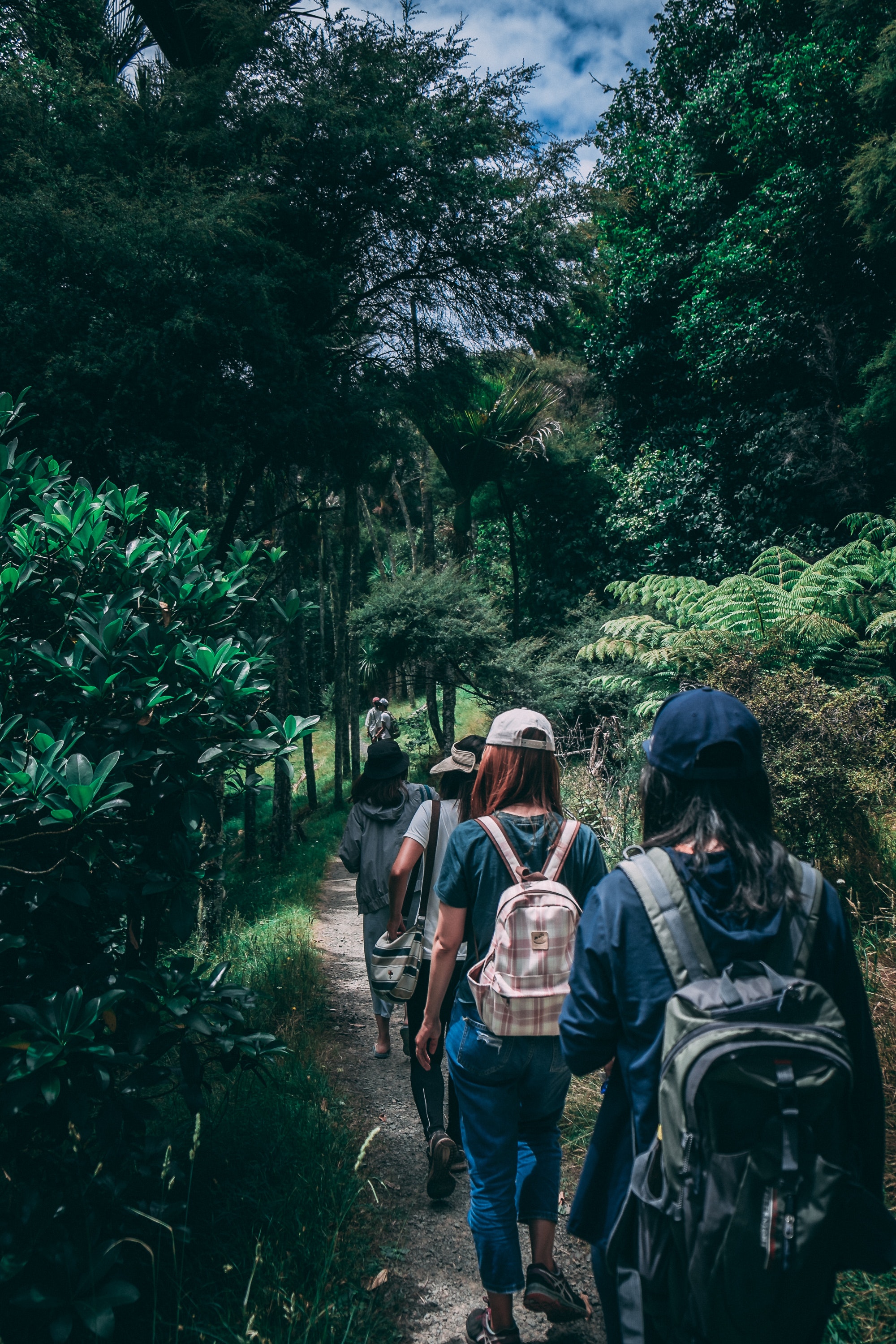 People Wearing Backpacks Walking on Pathway Near Green Leaf Plants · Free