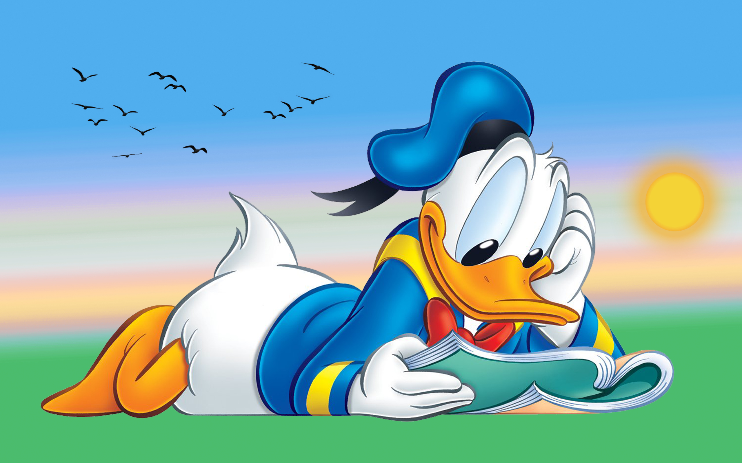 Donald Duck Cartoon Reading Book Desktop Hd Wallpapers For Tablet And PC 25...