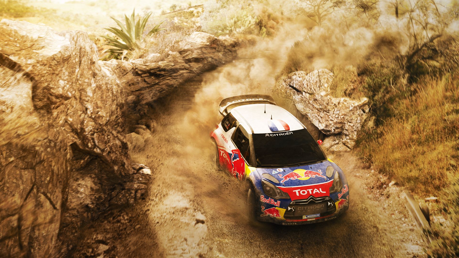 Wallpaper from Sebastien Loeb Rally Evo