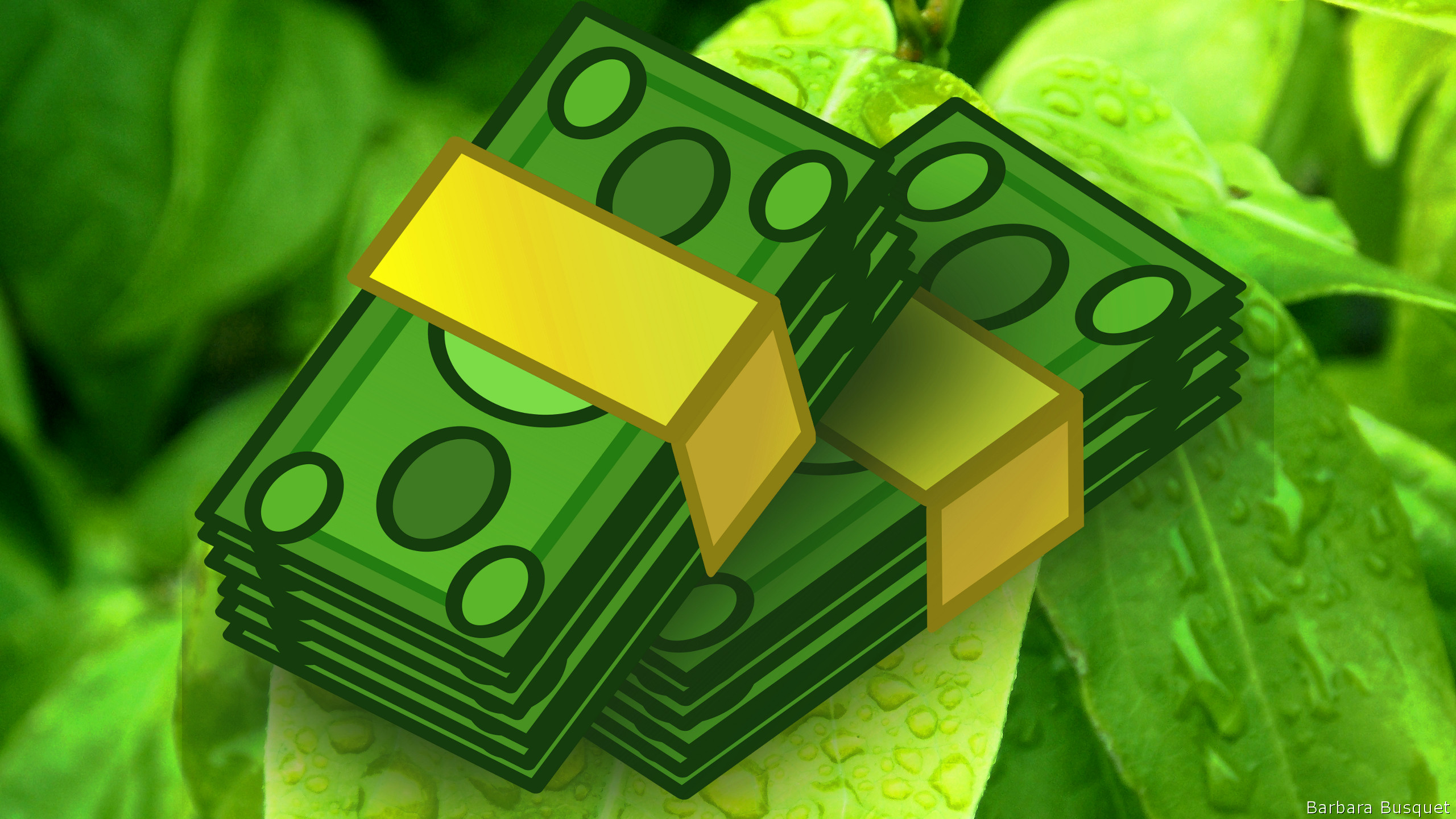 Мкк green money