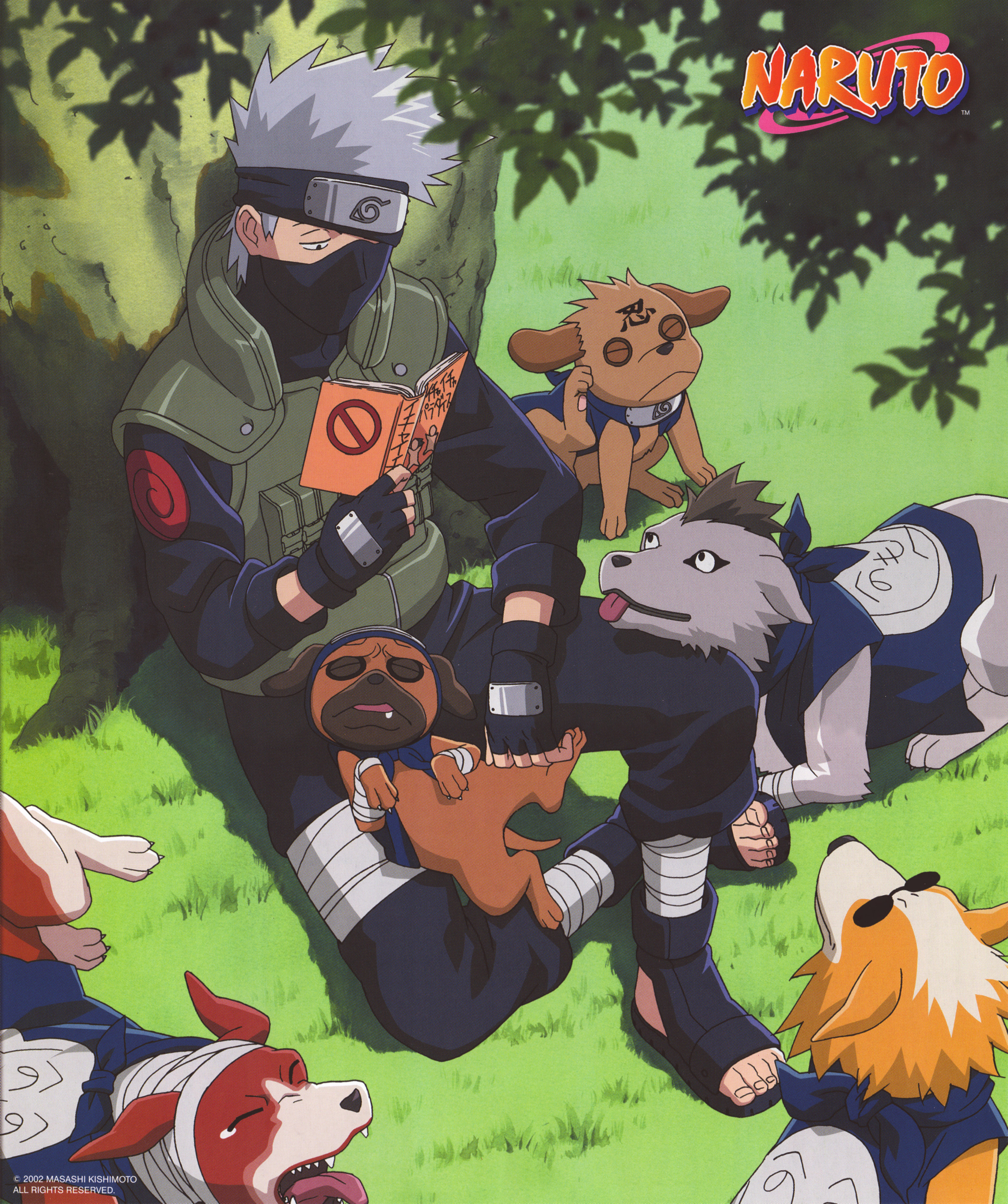 Pakkun and Scan Gallery