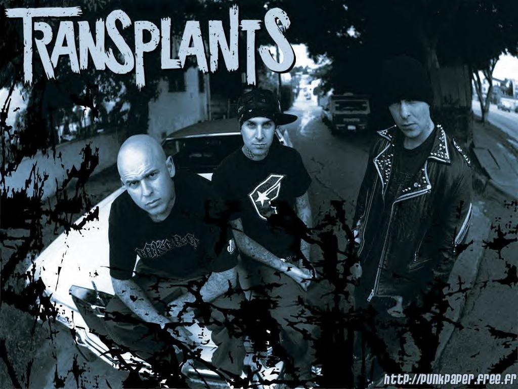 Transplants Wallpapers - Wallpaper Cave