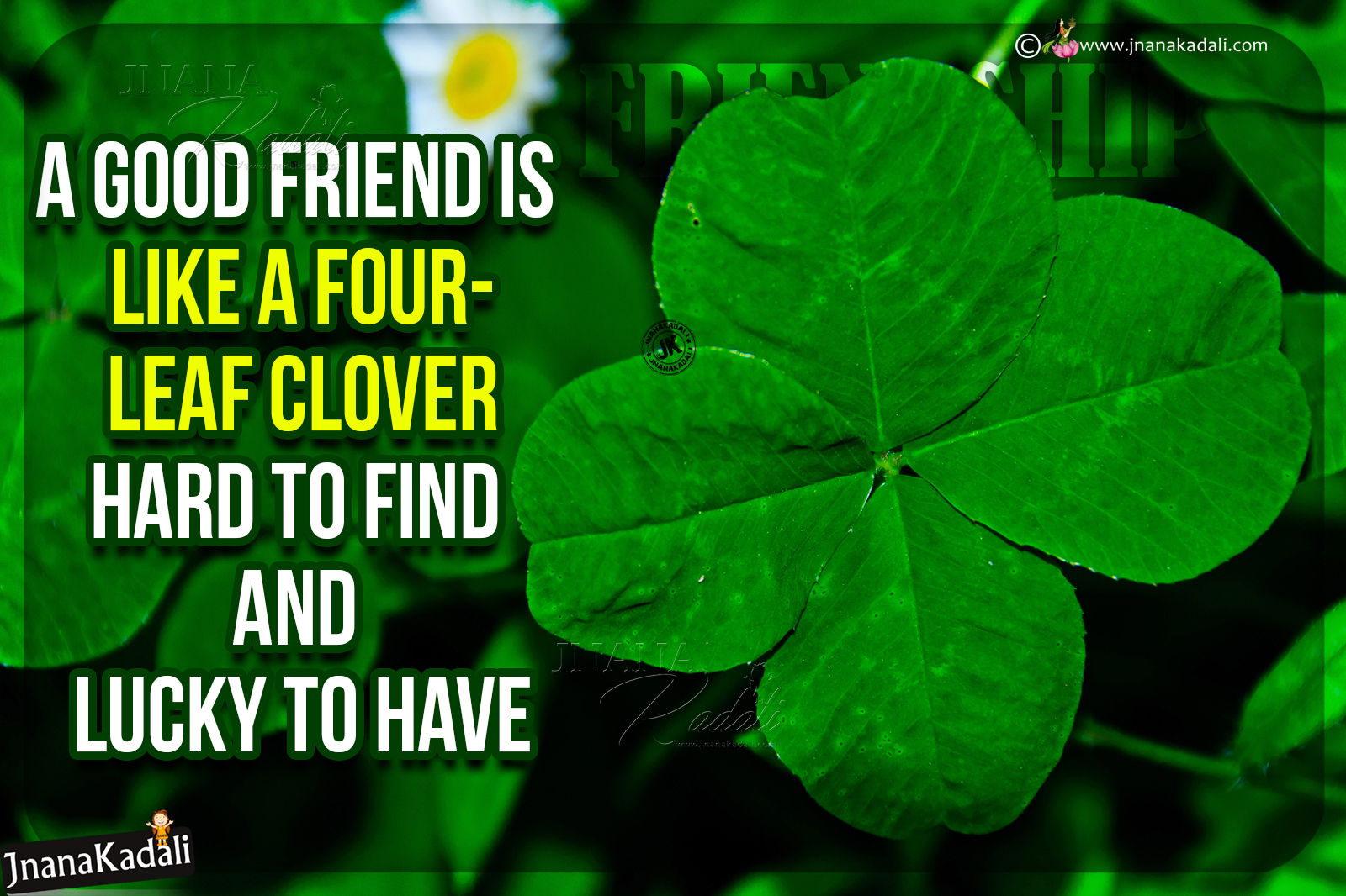 Nice English Motivational Saying With HD Wallpaper Daily Success Motivational Quotes HD Wallpaper