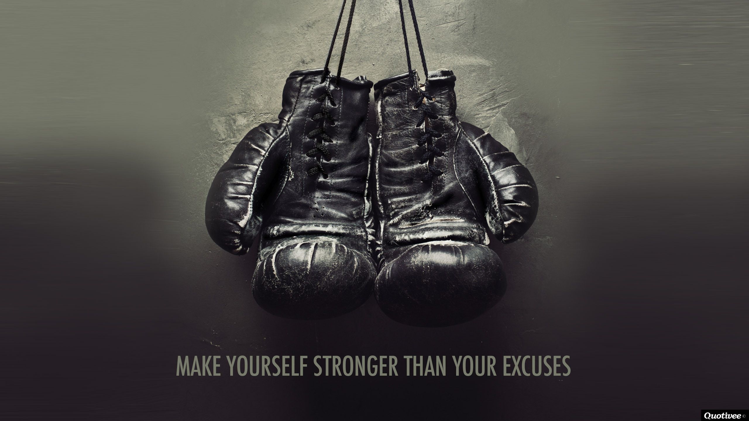Boxing Quotes Wallpaper Free Boxing Quotes Background