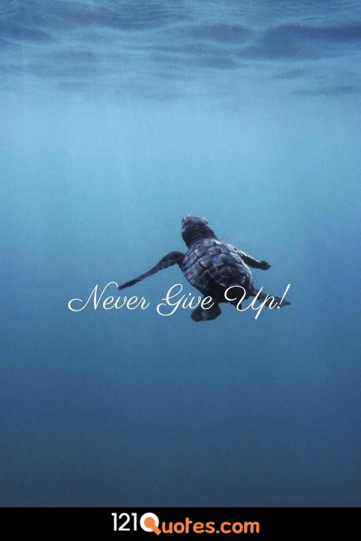 Most Beautiful Life Quotes with Image that Will Change Your Life