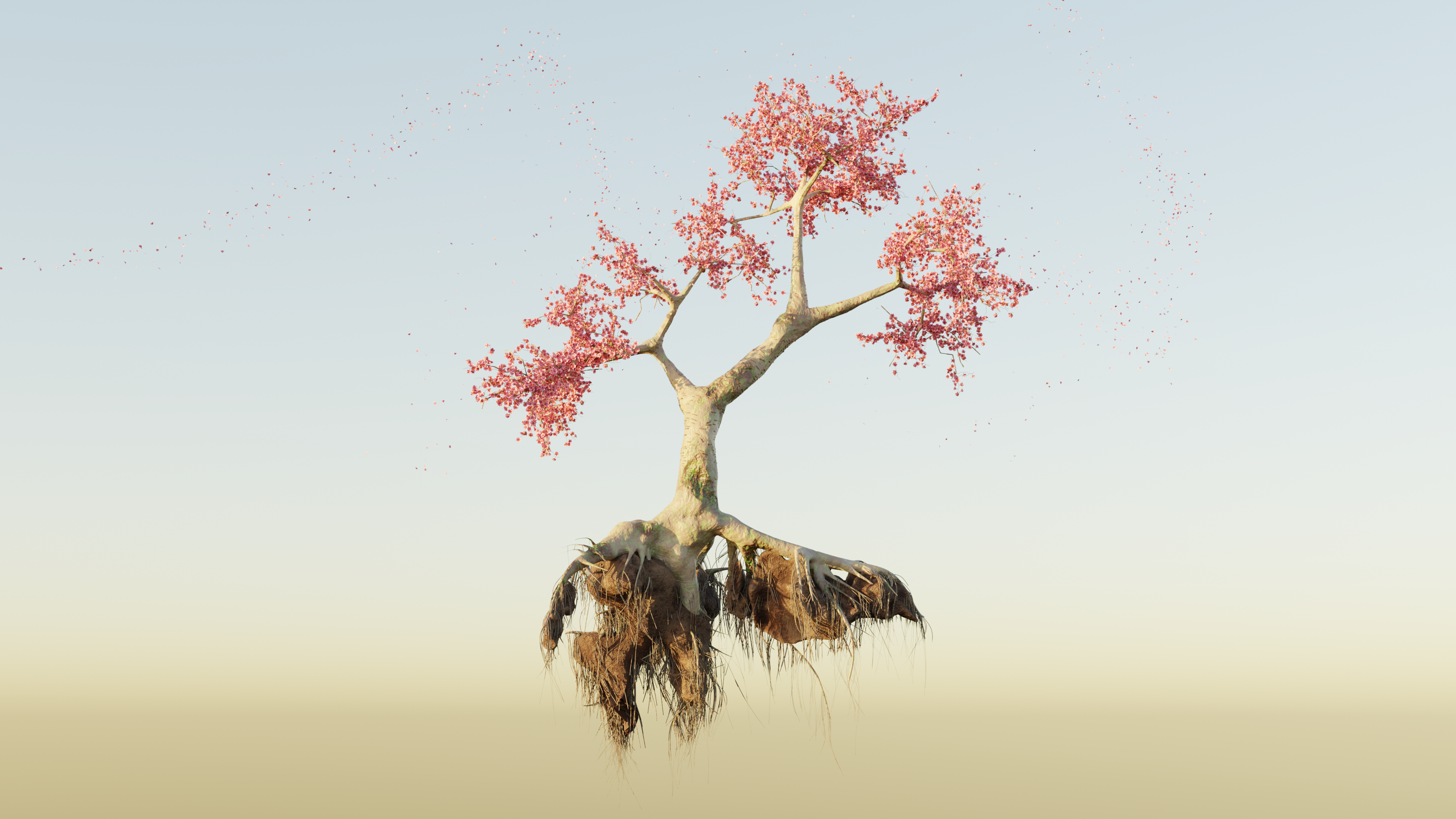 Blender 3D Graphics 3D Tree Trunk Floating Sakura Blossom Wallpaper:3840x2160