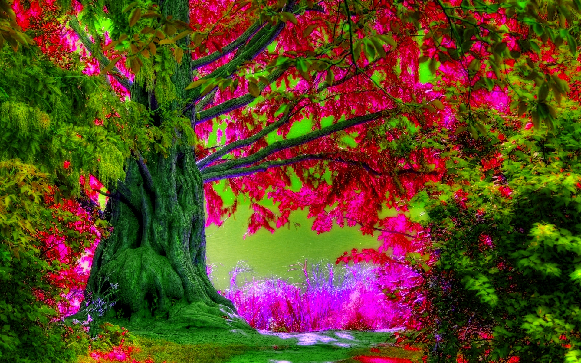 Free Spring Tree HD Wallpaper