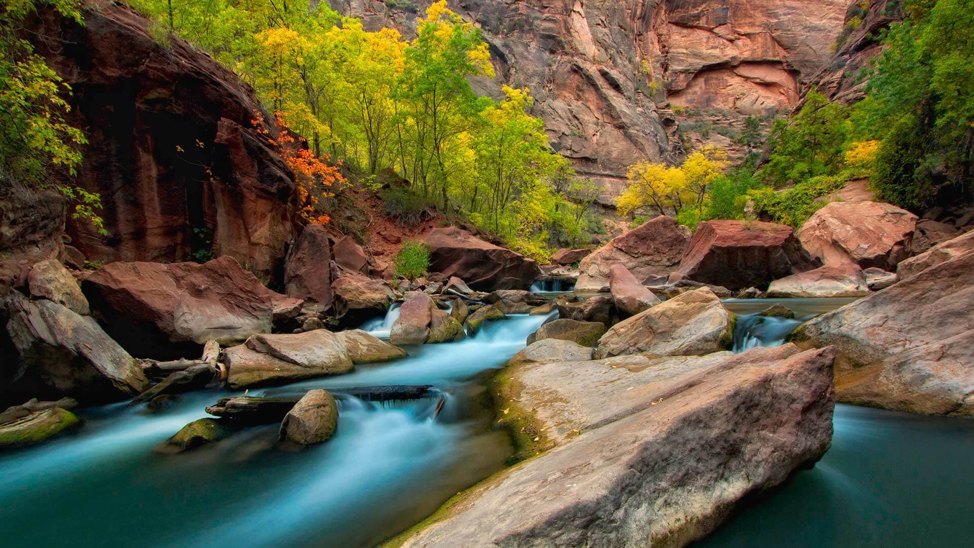 The Narrows of Zion