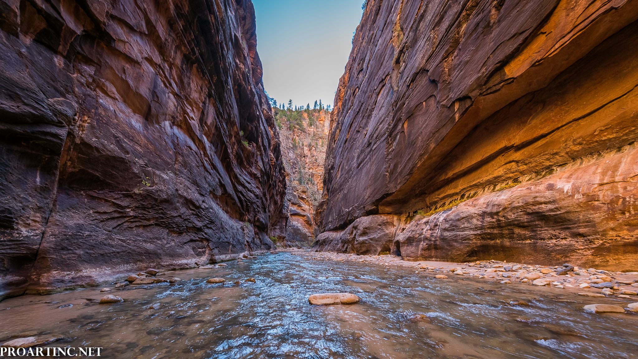 The Narrows, Zion National Park