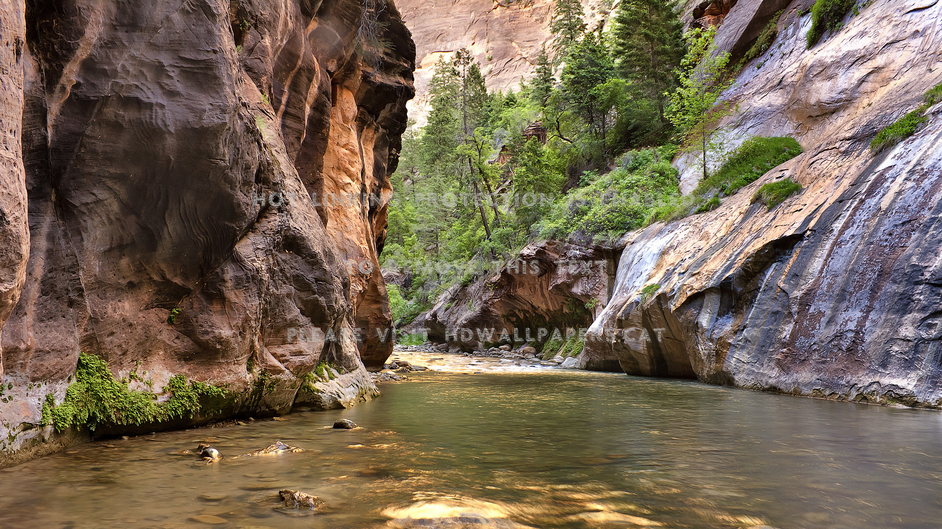 the narrows of virgin river zion national