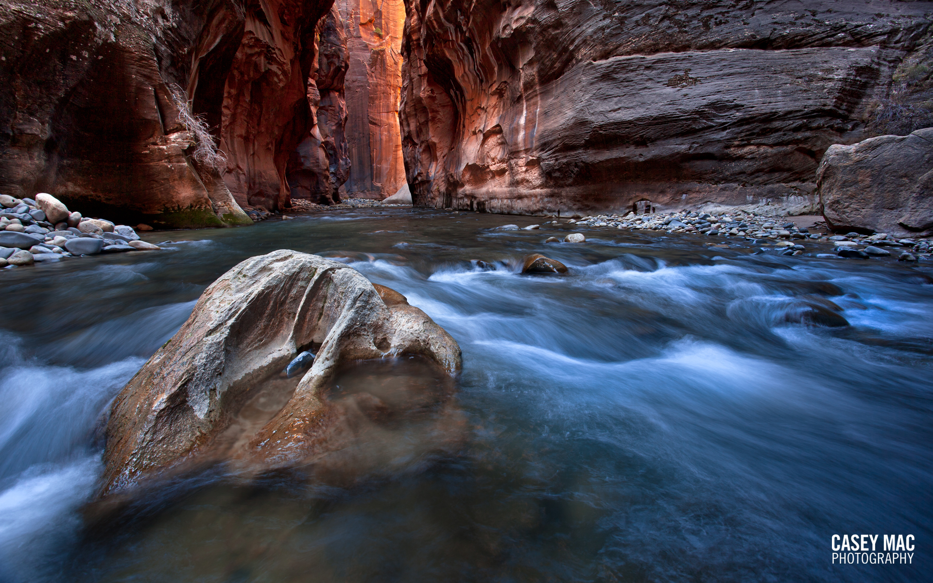Free download December 2011 Desktop Wallpaper Zion Narrows Casey Mac Photo [1920x1200] for your Desktop, Mobile & Tablet. Explore Zion Wallpaper. Bob Marley Lion Wallpaper, Zion National Park Desktop