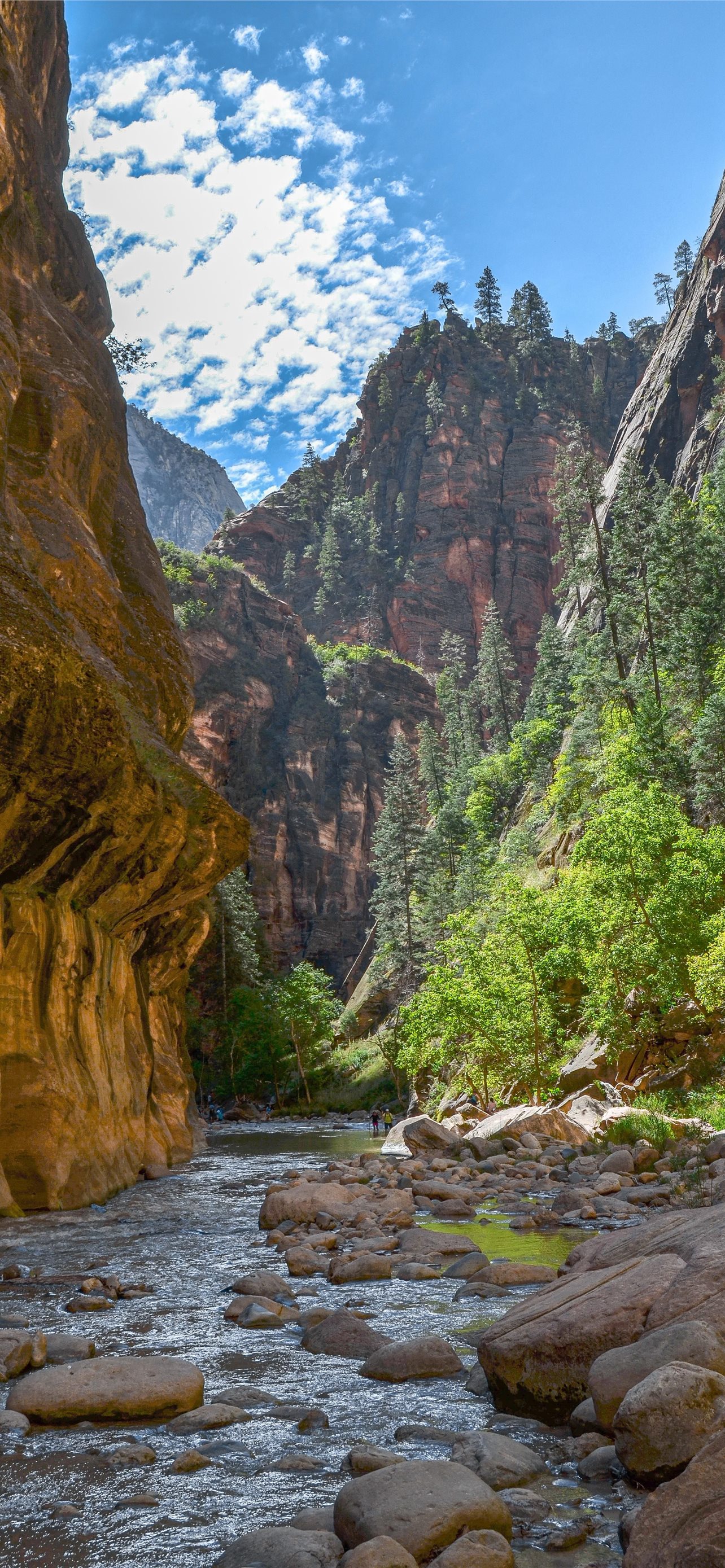 Best Zion national park iPhone HD Wallpaper