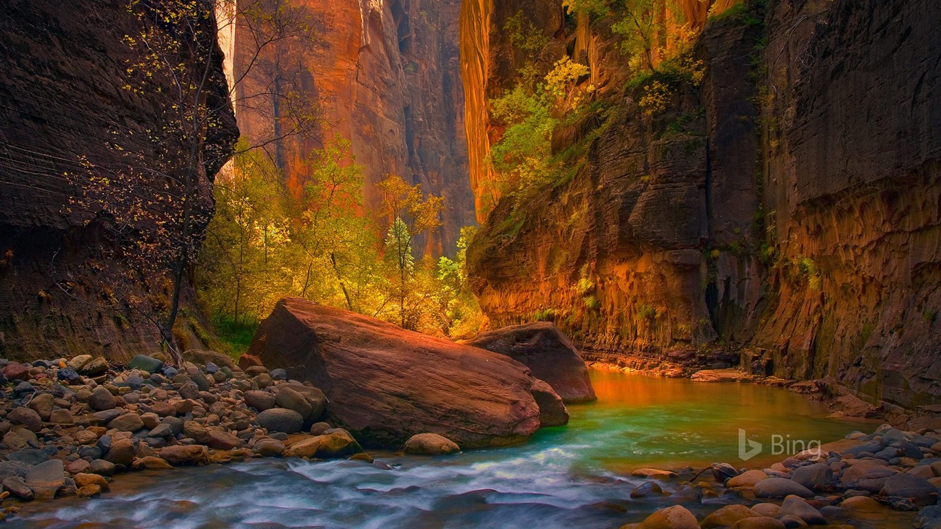 Utah The Virgin River In Zion National Park 2017 Bing Desktop Wallpaper