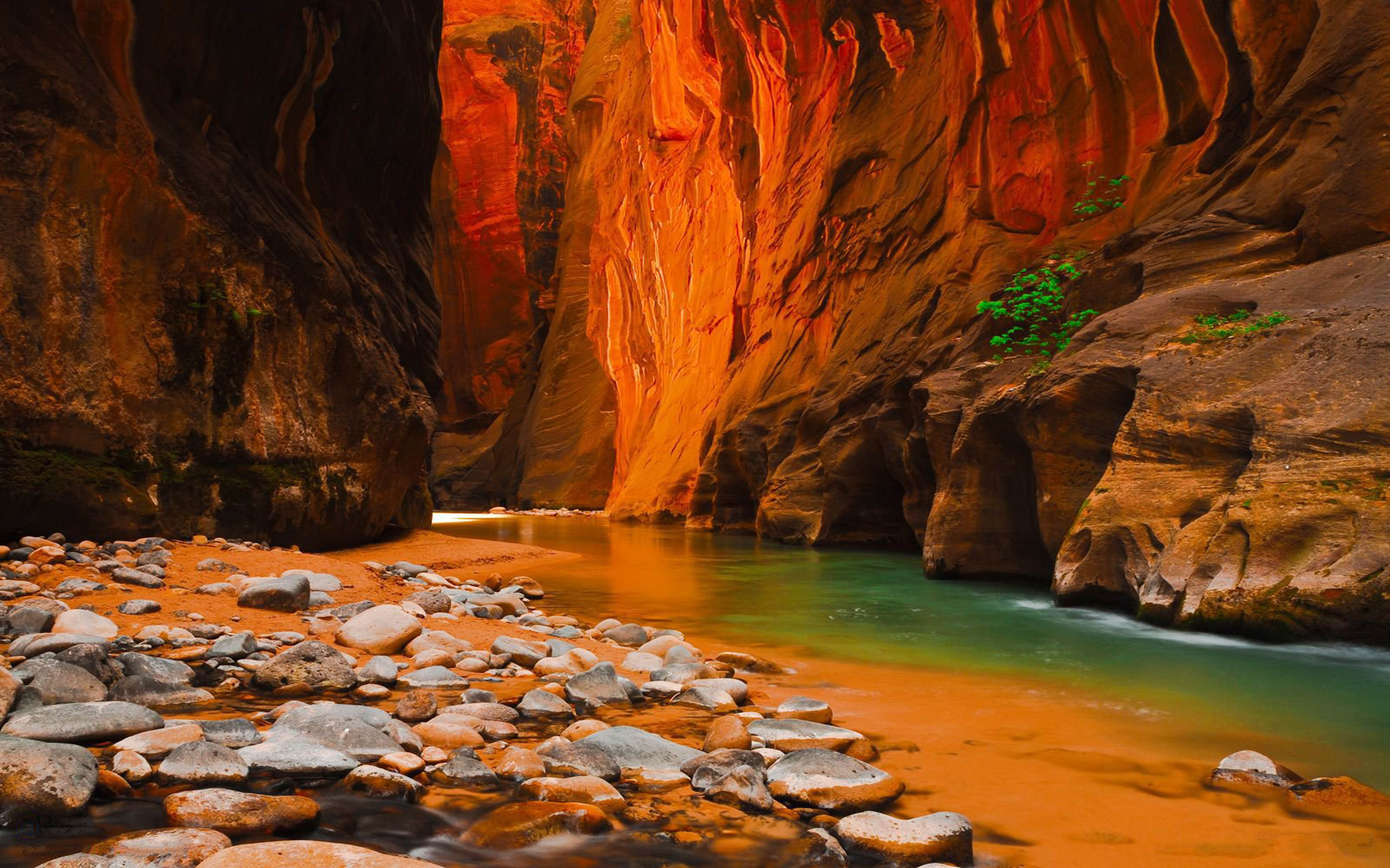 Virgin River Narrows Zion National Park In North America Wallpaper Widescreen HD 3840x2400, Wallpaper13.com