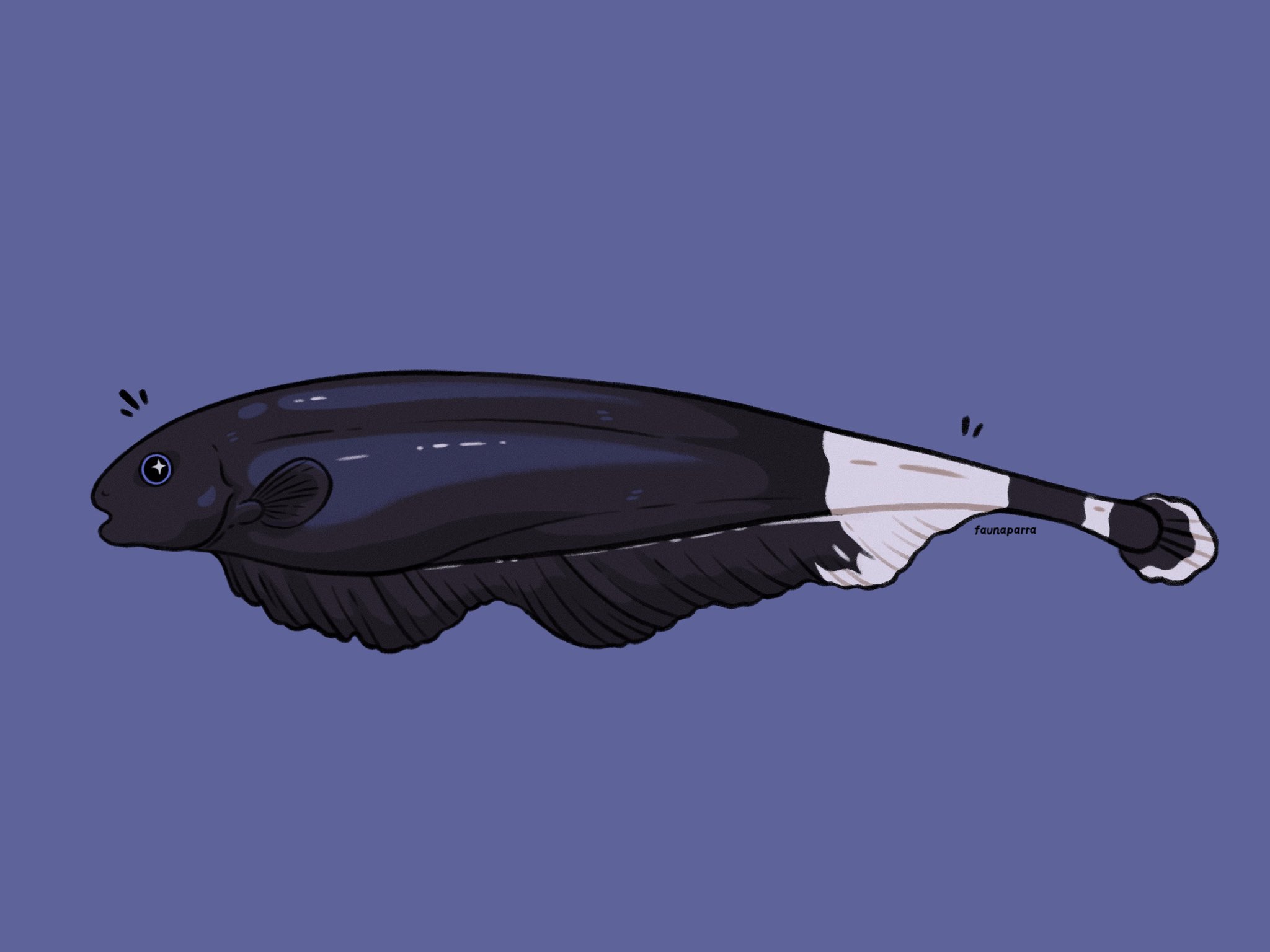 James Pitt ghost knifefish commission Cutest