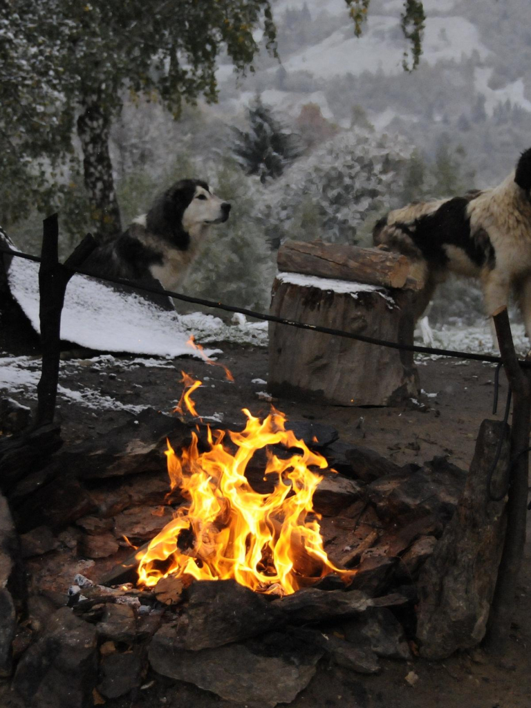 Free download Romanian Winter With Camp Fire HD Wallpaper List [2560x1600] for your Desktop, Mobile & Tablet. Explore Funny Camping Wallpaper. Funny Camping Wallpaper, Christmas Camping Wallpaper, Camping Wallpaper