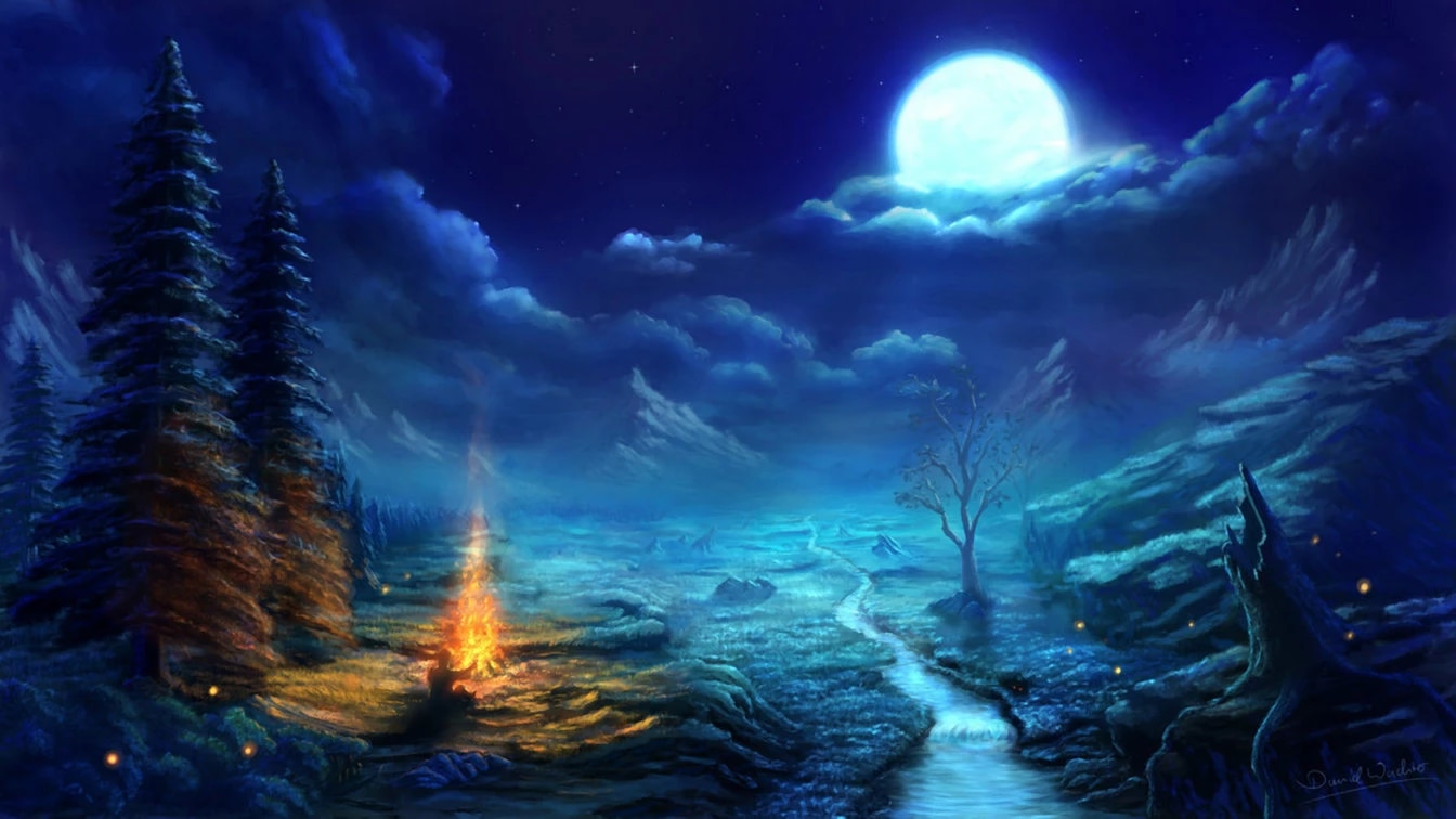 Full Moon Winter Night Campfire Forest Tree backdrops High quality Computer print party photography background. Background