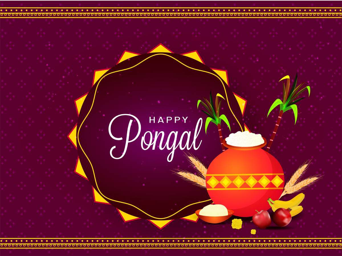 Happy Pongal 2022: Image, Wishes, Messages, Quotes, Cards, Greetings, Picture, GIFs and Wallpaper of India