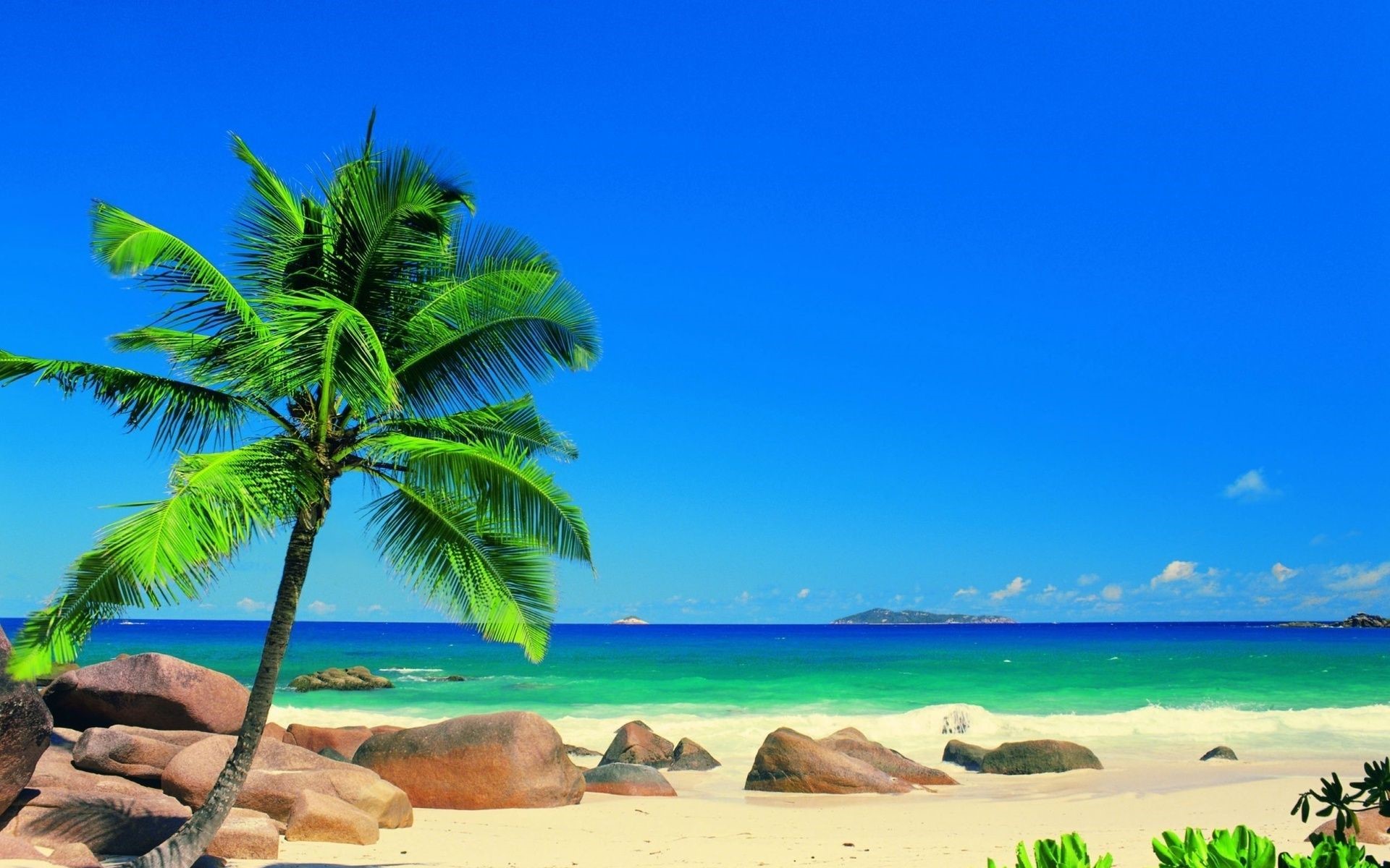 HD Tropical Beach Landscape Phone Wallpaper Desktop image Wallpapes Resolution 4K Wallpaper