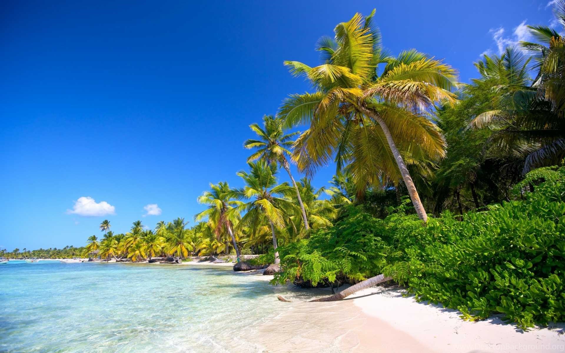Tropical Beach Landscape Wallpaper HD Best Collection Desktop Background