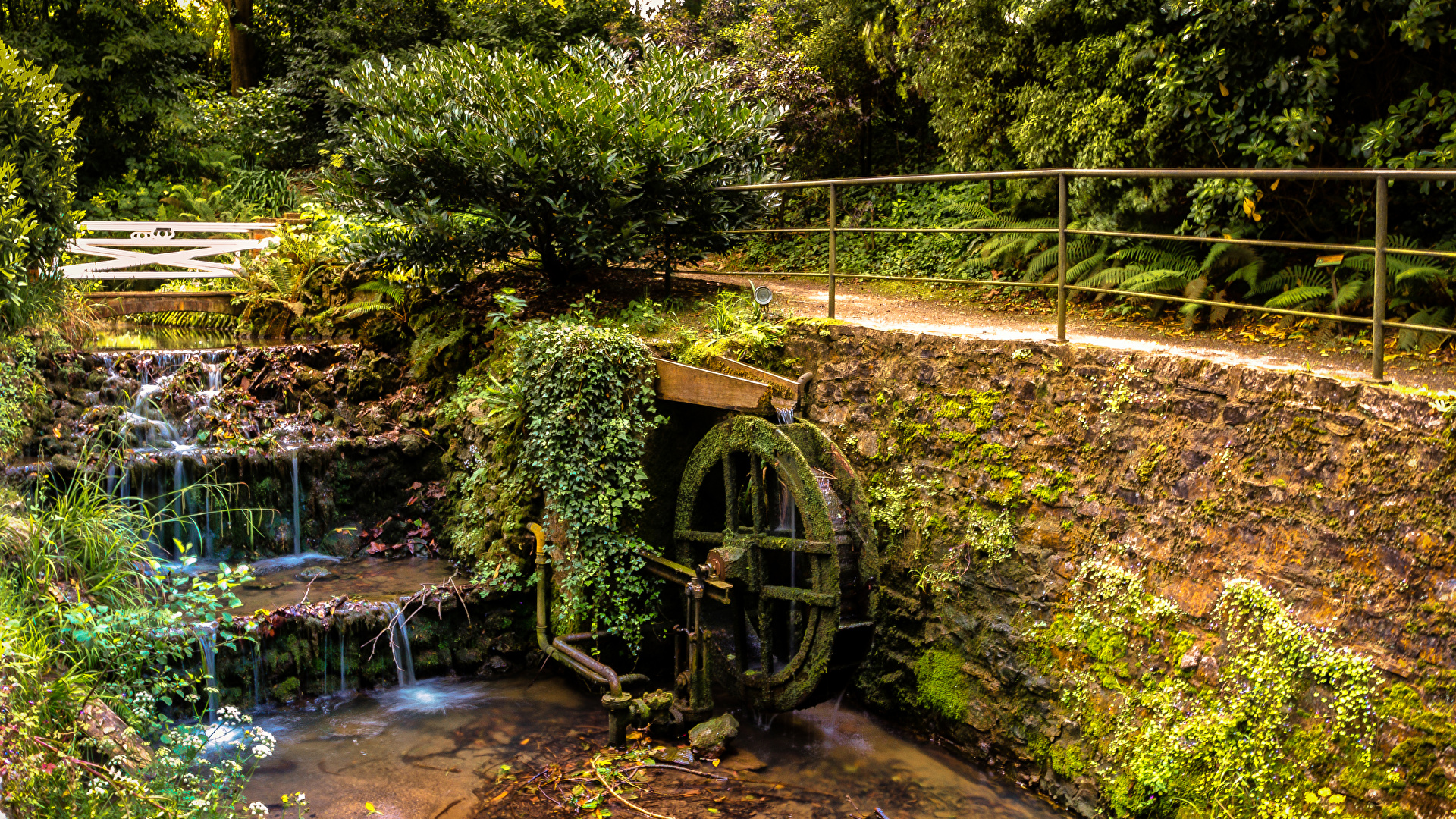 Picture Spain Gijon Asturias Nature Waterfalls Moss Bush 1920x1080