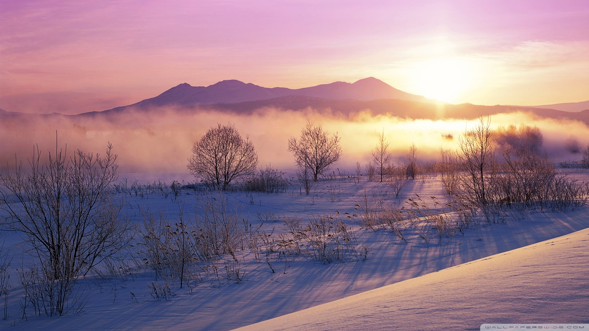 Winter Mist Ultra HD Desktop Background Wallpaper for 4K UHD TV, Tablet