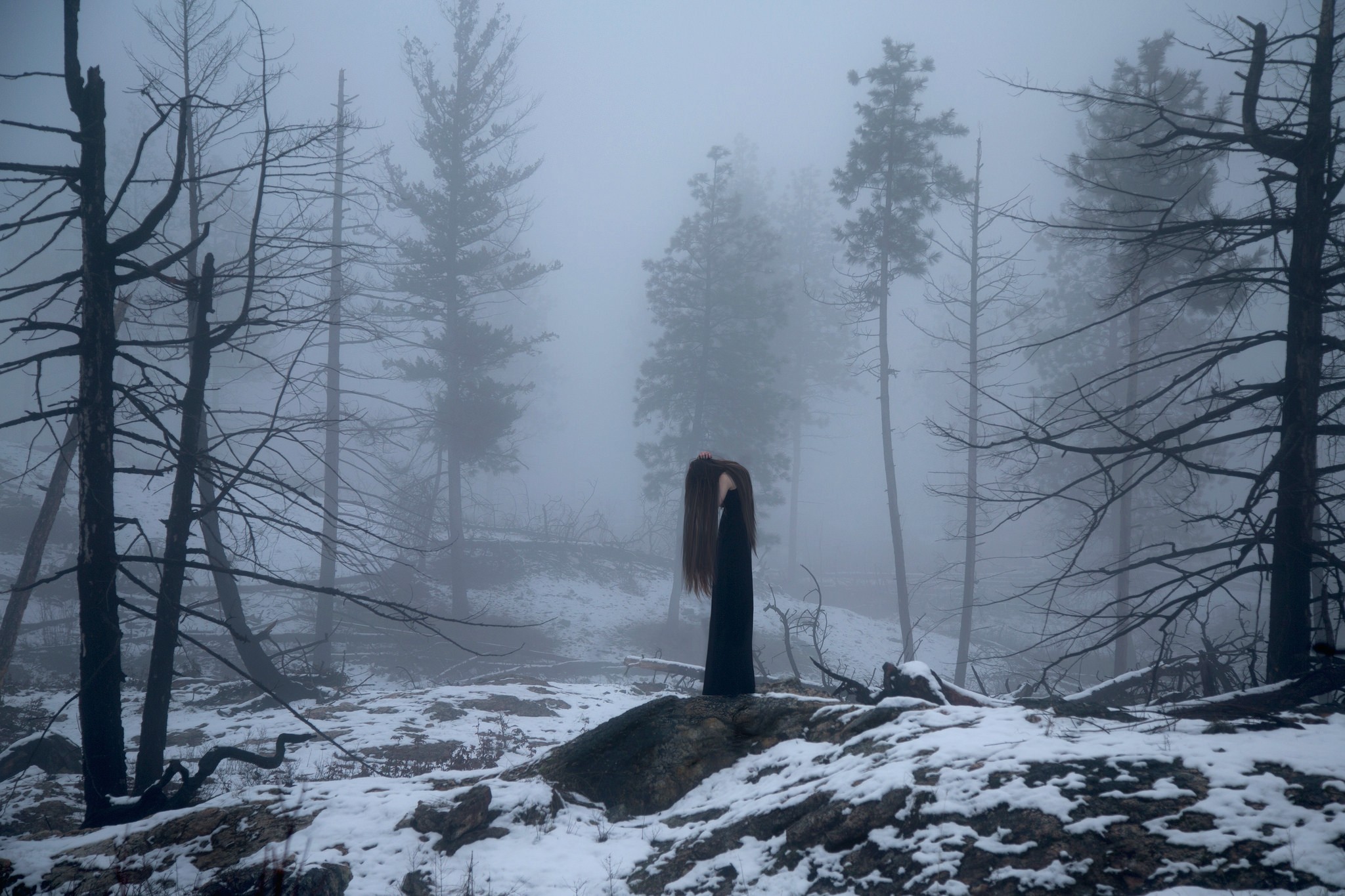 Wallpaper, trees, forest, women, snow, mist, Freezing, tree, fog, mountain, weather, season, blizzard, atmospheric phenomenon, geological phenomenon, winter storm 2048x1365