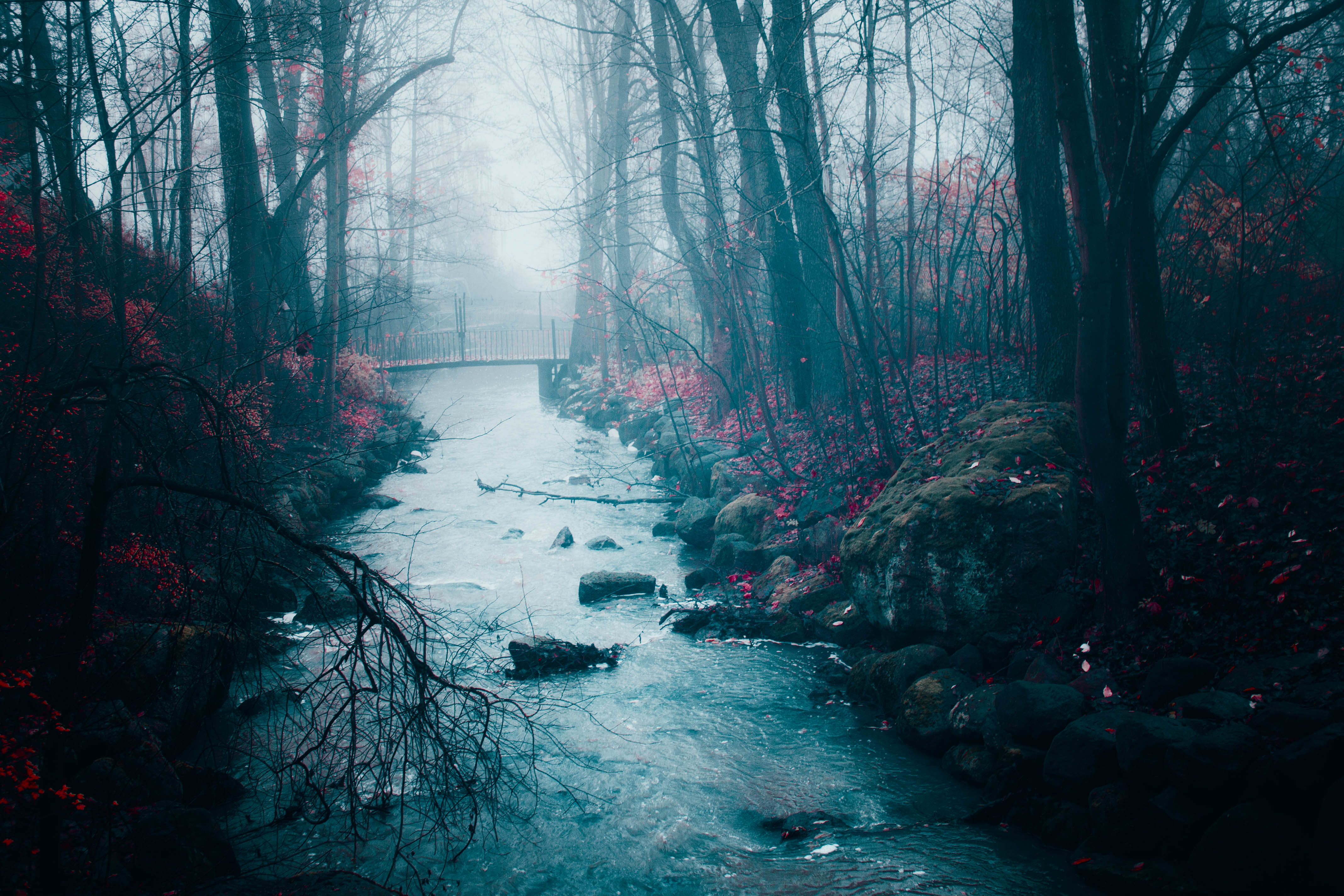 Wallpaper, nature, photography, landscape, wood, trees, fall, winter, mist, water, river 4272x2848