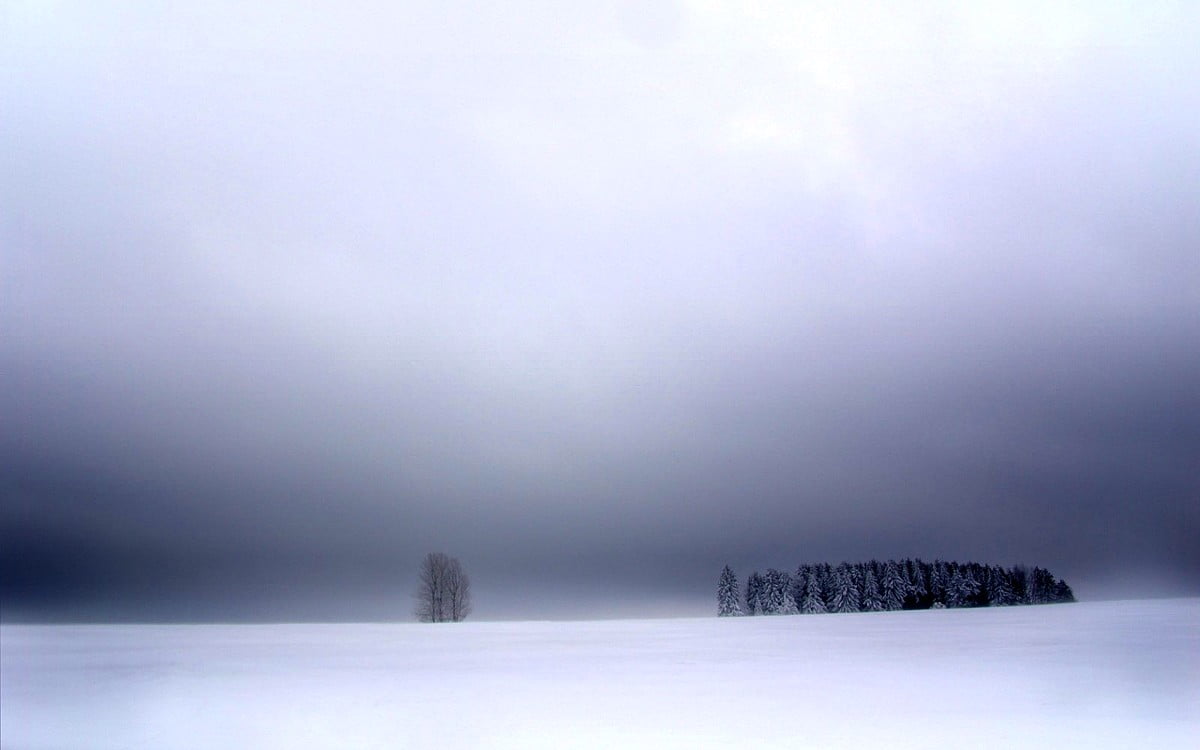 Cool Snow, Fog, Mist wallpaper. Best Free Download wallpaper