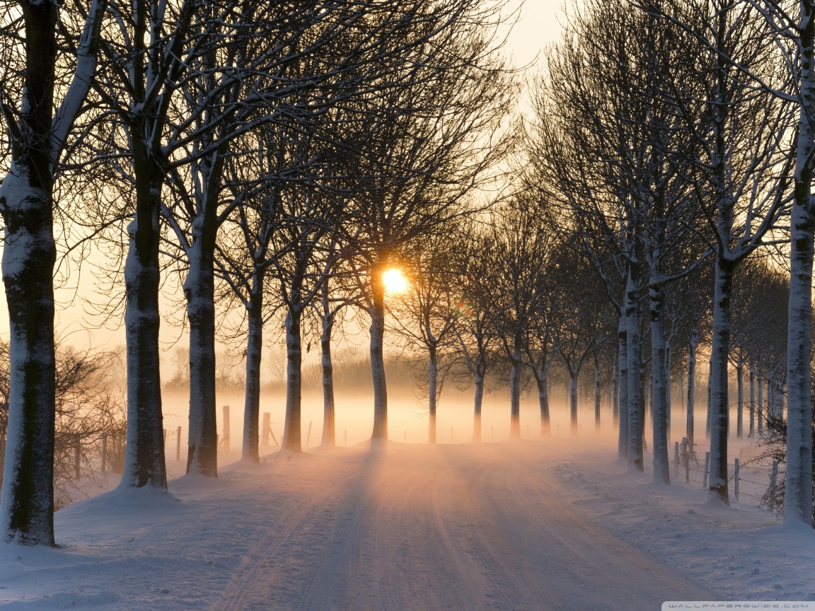 Misty Winter Afternoon Ultra HD Desktop Background Wallpaper for 4K UHD TV, Multi Display, Dual Monitor, Tablet