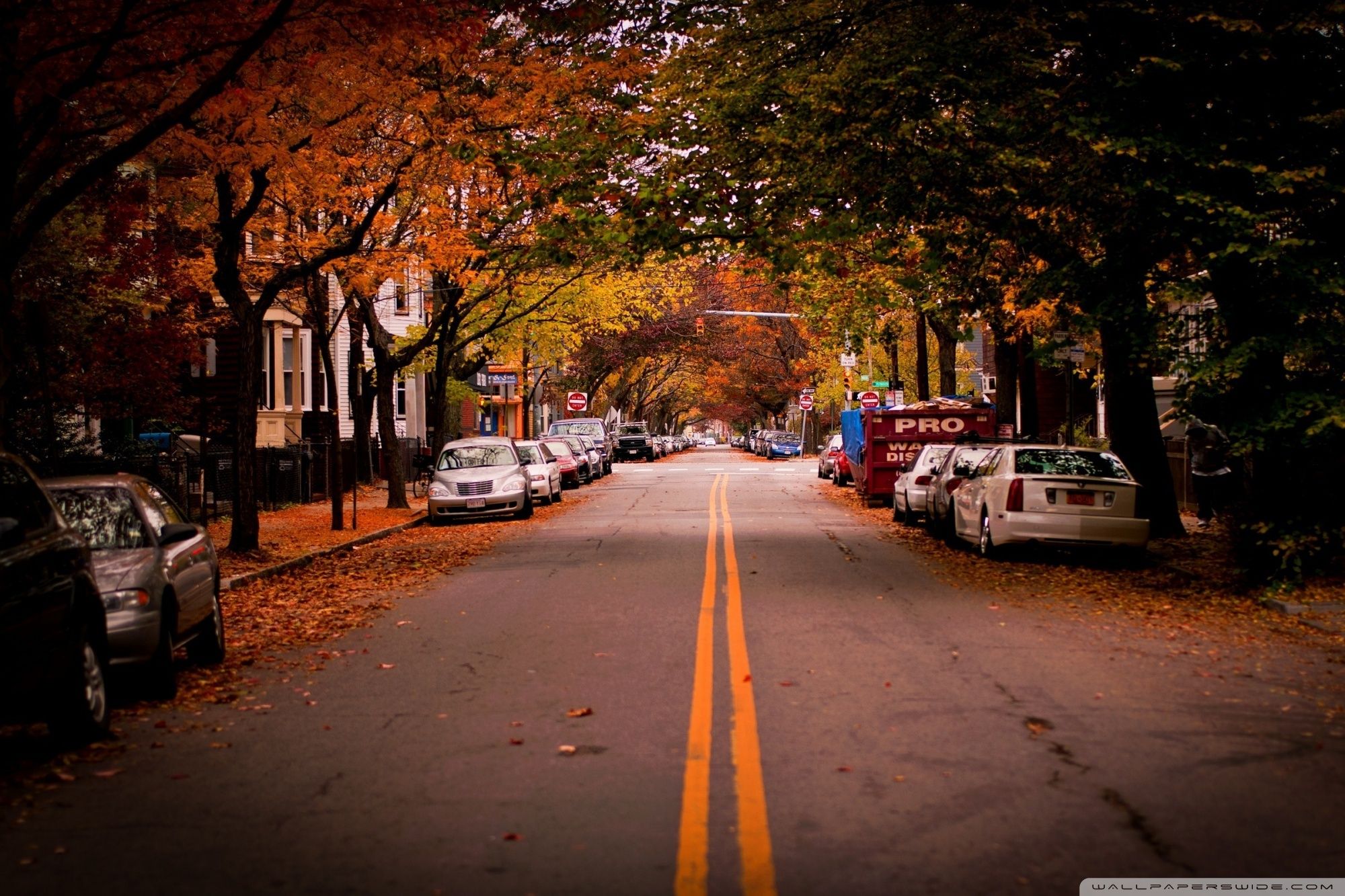 Small Cities Wallpaper