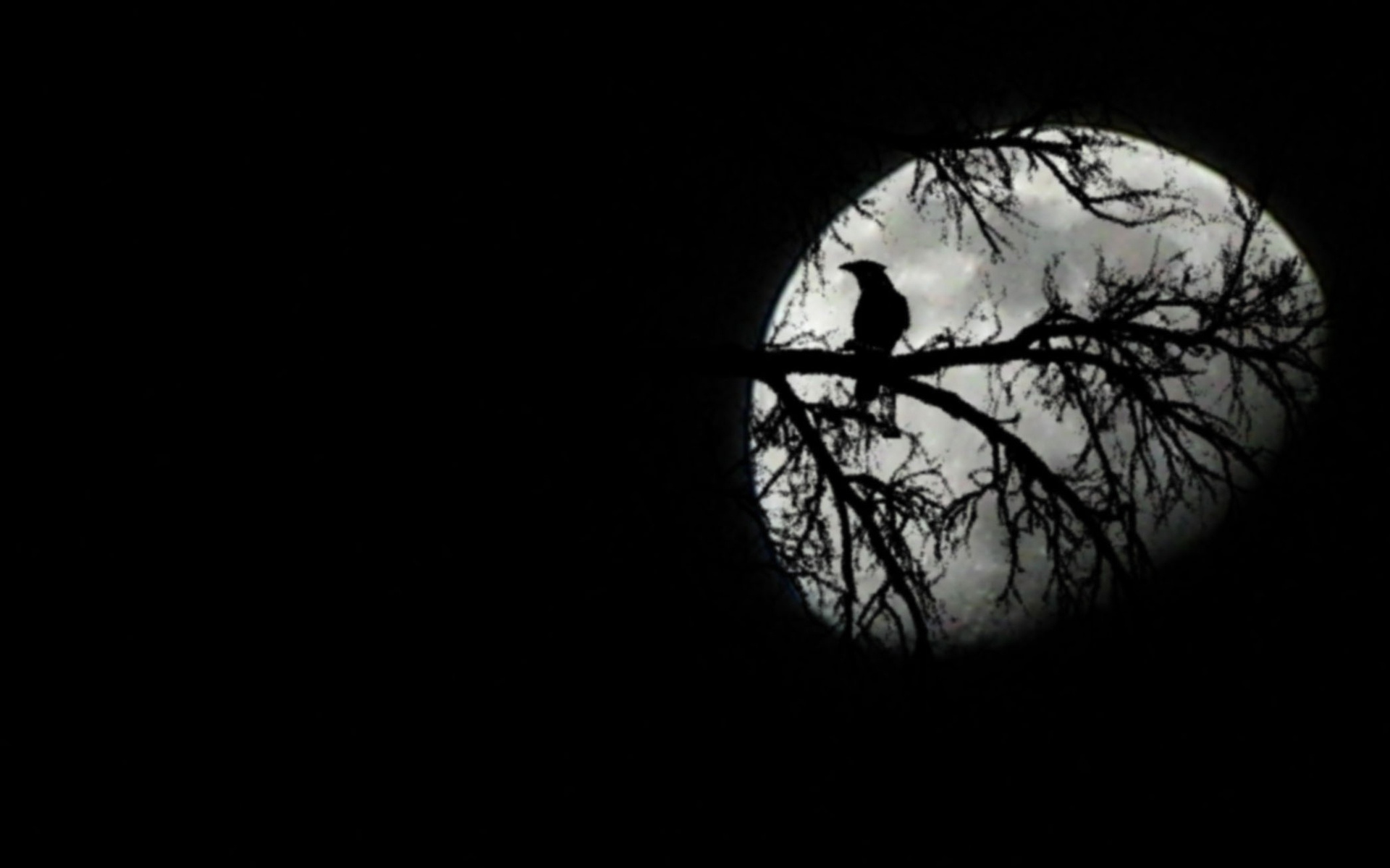 Free download Raven Black And Moon Wallpaper Picture Wallpaper with 1920x1200 [1920x1200] for your Desktop, Mobile & Tablet. Explore Black Crow Wallpaper. Crow Wallpaper for Home Walls, Watercolor Painting