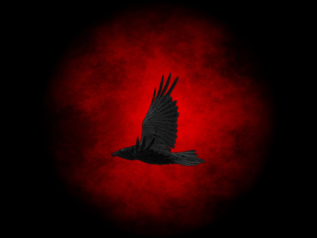 Dark Raven Wallpaper