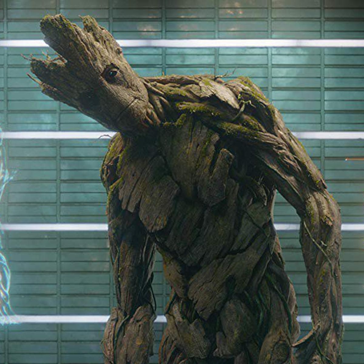Is young Groot the same as the first? And just where is his brain? A UNL professor weighs in. Arts, Movies & TV