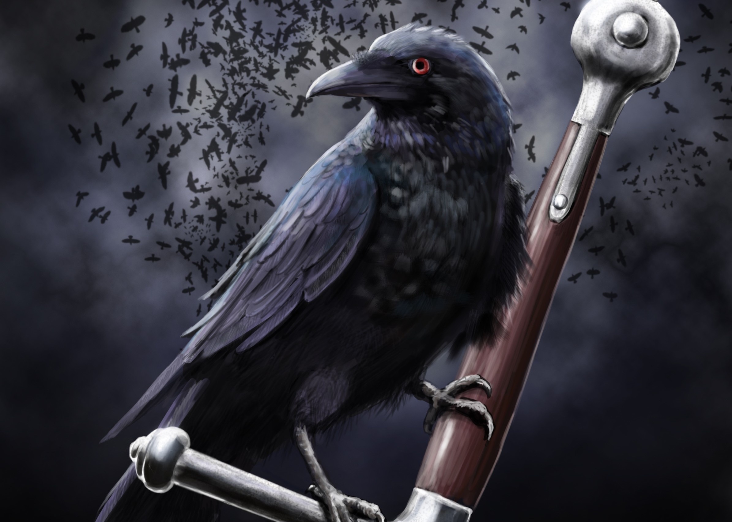 Ravens Crows, Dark, Black Birds, Desktop Wallpaper, Wallpaper13.com