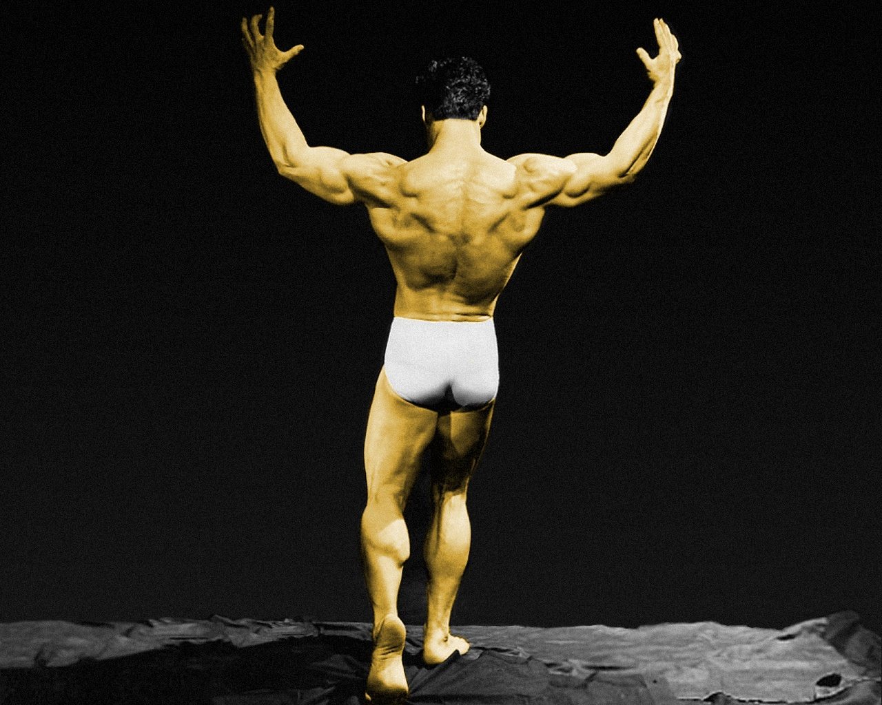 Body Builder Wallpaper: Steve Reeves Wallpaper Body Builder