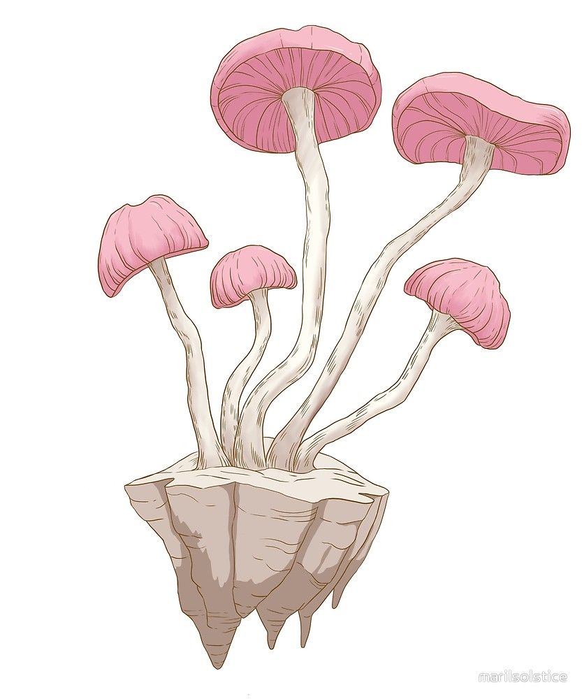 Pink Mushroom Sticker by marilsolstice. Mini canvas art, Pink mushroom, Mushroom art