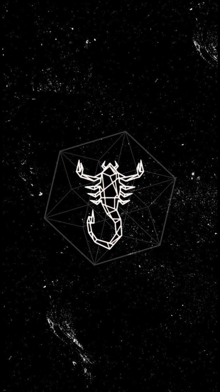 Scorpion Wallpaper by ST Pro Wallpapers - (Android Apps) — AppAgg
